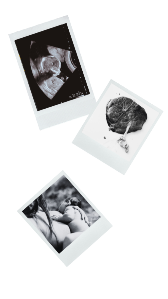 Photos de naissance de Yael Tomasini illustratrice et doula